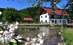 Plitvice Panta Rei