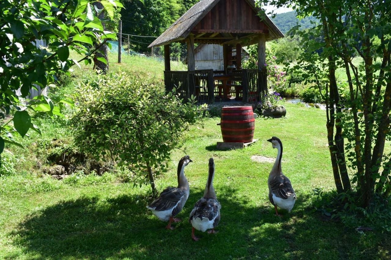 Pensjonat Plitvice Panta Rei Plitvička Jezera Zewnętrze zdjęcie