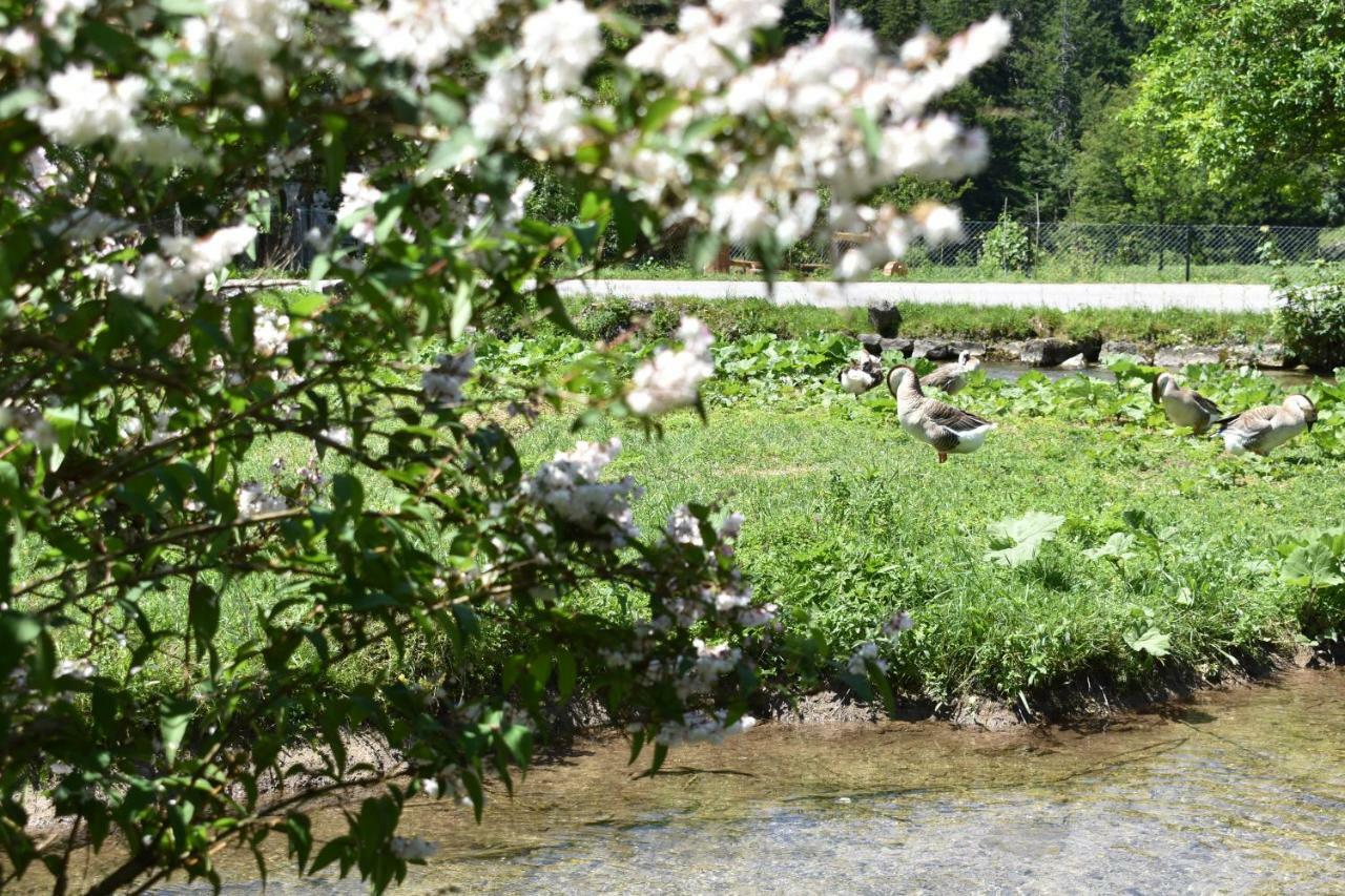 Pensjonat Plitvice Panta Rei Plitvička Jezera Zewnętrze zdjęcie