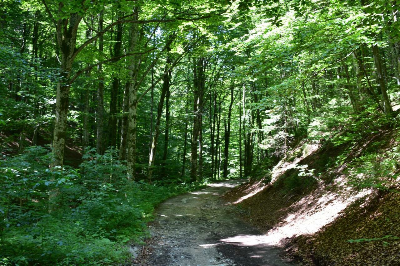 Pensjonat Plitvice Panta Rei Plitvička Jezera Zewnętrze zdjęcie