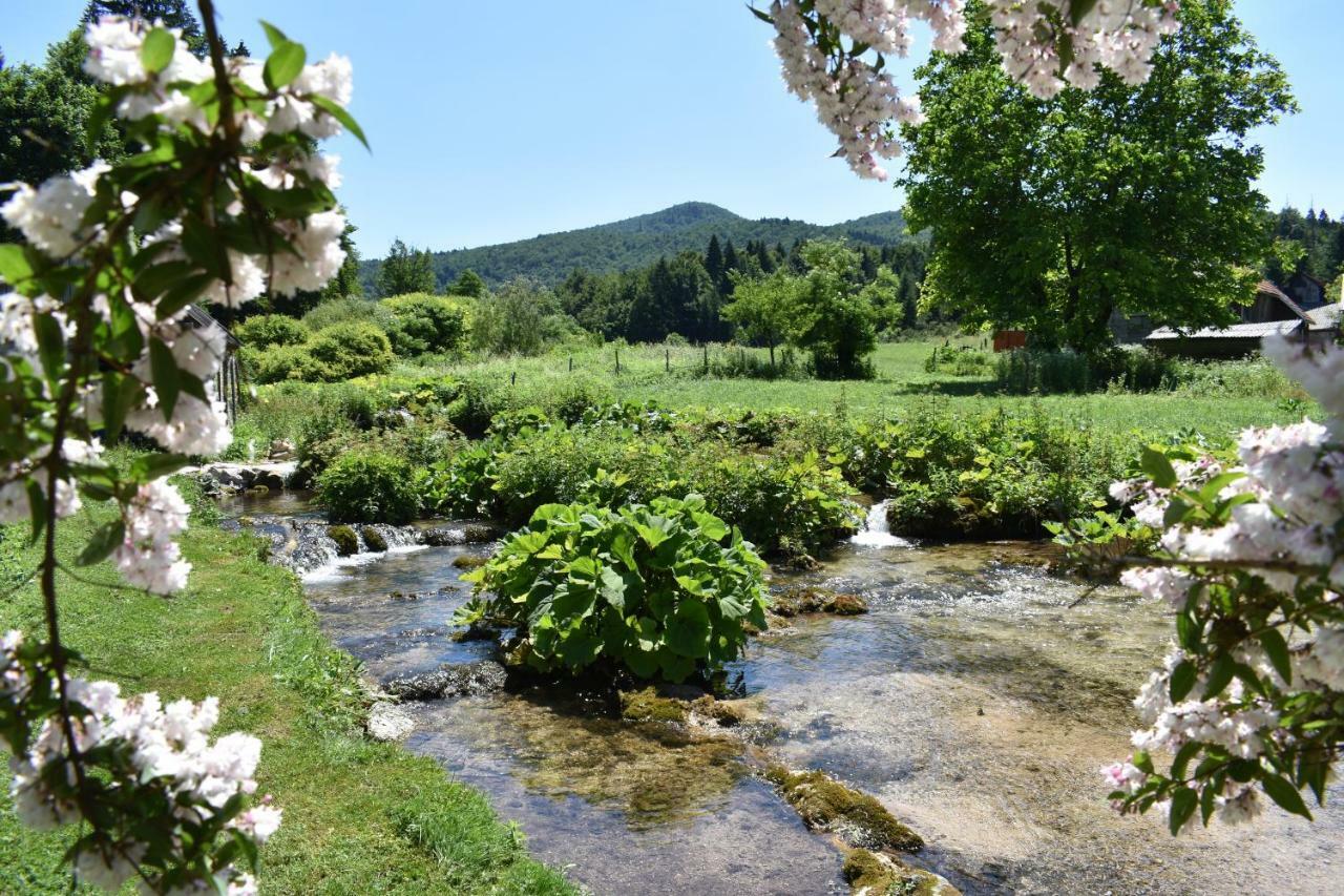 Pensjonat Plitvice Panta Rei Plitvička Jezera Zewnętrze zdjęcie