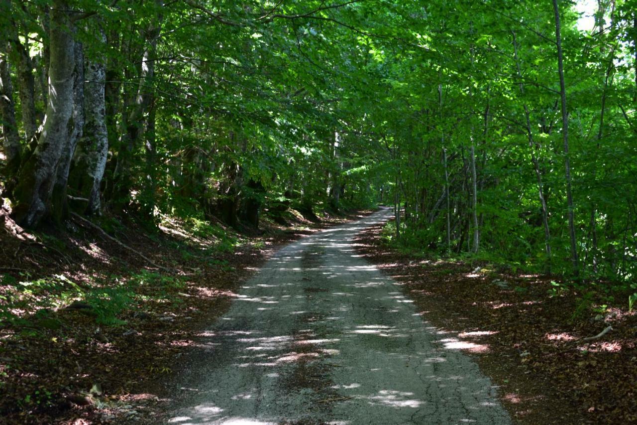 Pensjonat Plitvice Panta Rei Plitvička Jezera Zewnętrze zdjęcie