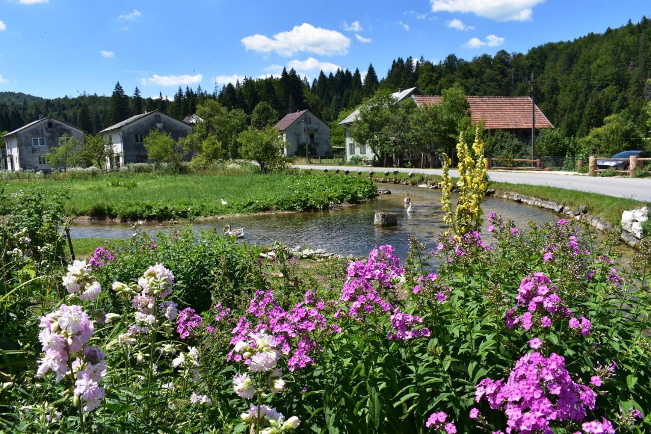 Pensjonat Plitvice Panta Rei Plitvička Jezera Zewnętrze zdjęcie